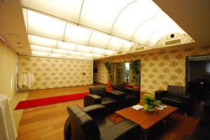 Wavy Ceilings